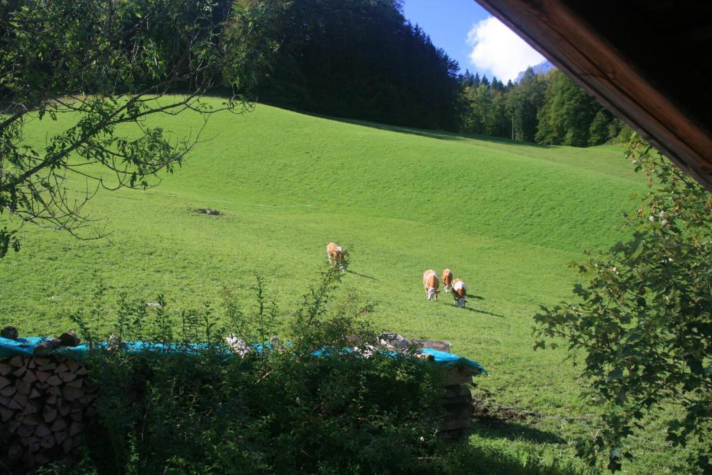 Alpenhotel Beslhof Ramsau bei Berchtesgaden Rum bild